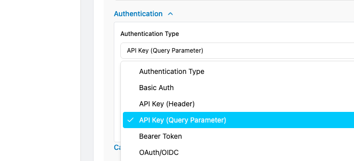 Authentication type selector showing all available options